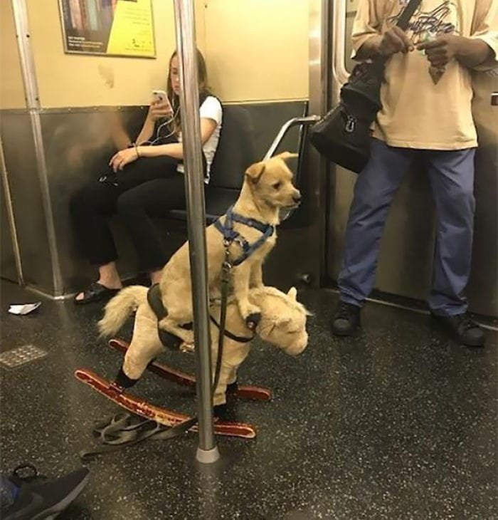 Spotted On The Subway